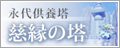 ̓